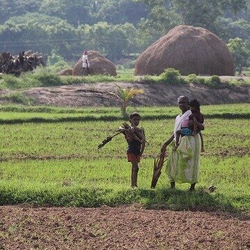 Village life experience